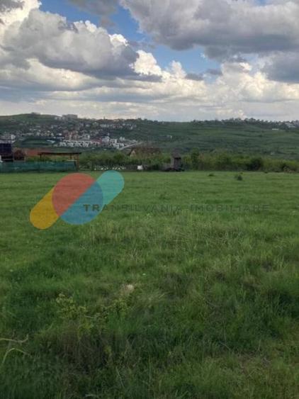 Teren cu PUZ in lucru in Borhanci 1438 mp - 2