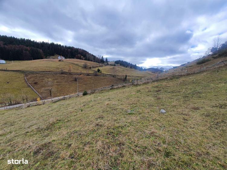Teren rezidential intravilan Bran Fundata zona de case si pensiuni - 5