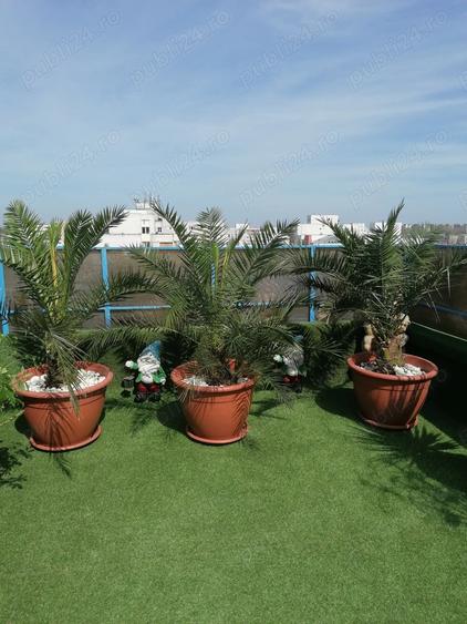 Vand apt tip Penthouse - 10