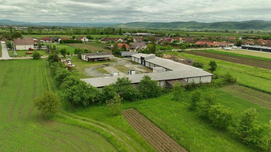 RECO Hala frigorifica Lugasu de Jos Bihor - 5