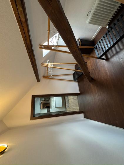 Penthouse zona Medicinei - 9