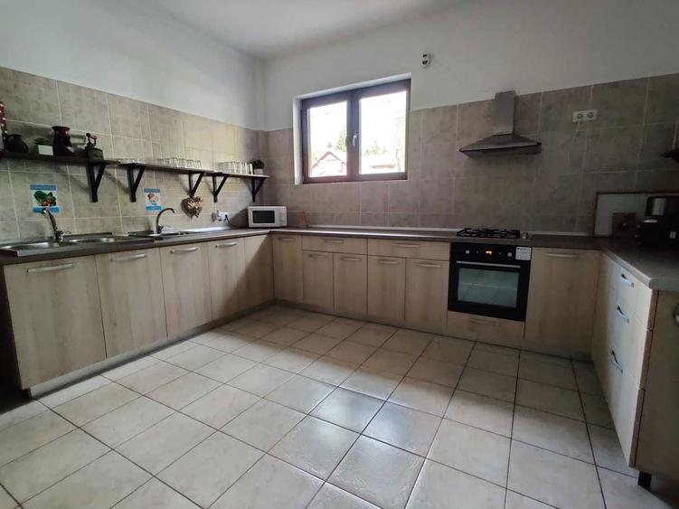 Spatiu multifunctional de inchiriat zona centrala Pucioasa - 1