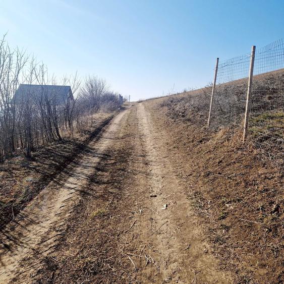 Teren intravilan Sura Mare 504mp - 5