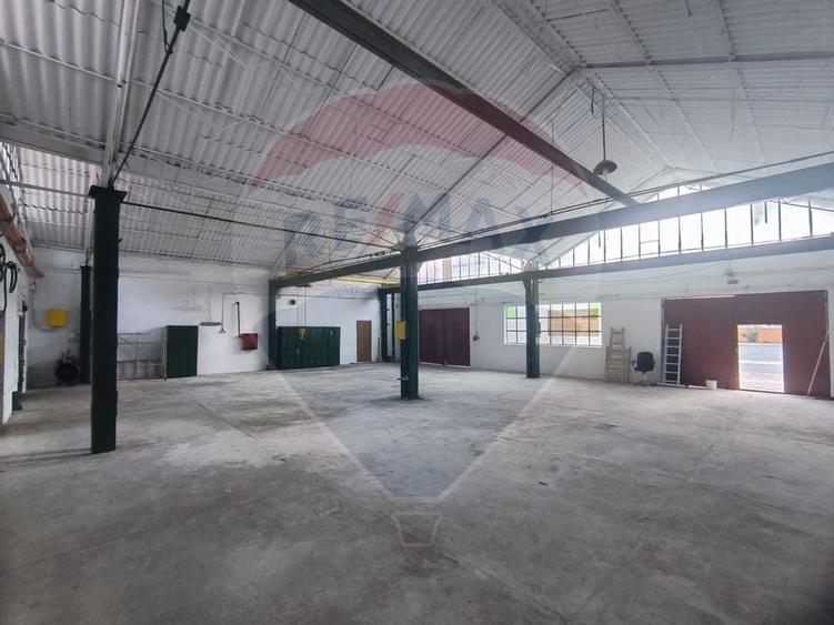 Spatiu industrial de 435mp de inchiriat in zona Sannicolau Mic - 3