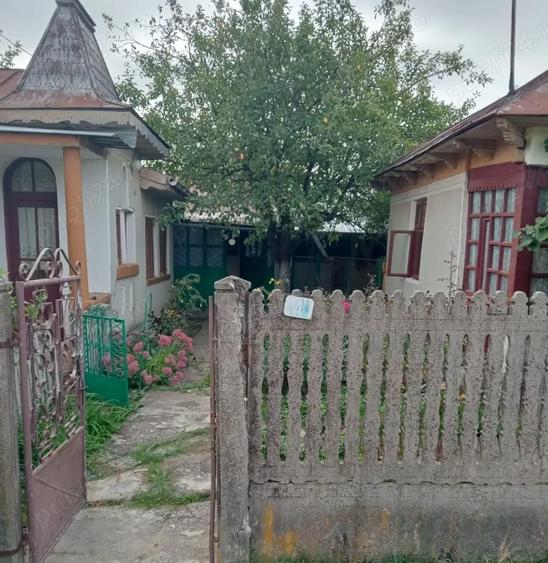 Vand casa la tara, complet utilata, doua locuinte in curte - 3
