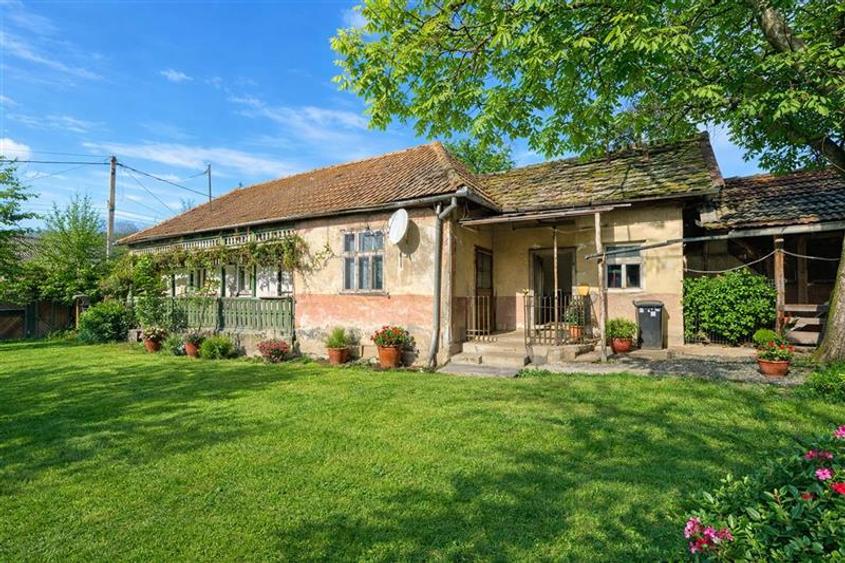 FILM! Casa si anexe, pe domeniu de 6.221mp,  livada pomi fructiferi, Lemnia, Cov - 2