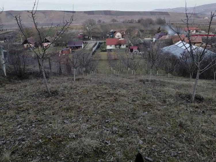 Casa de vanzare in Ora? Ludu?, str. Avrame?ti - 10