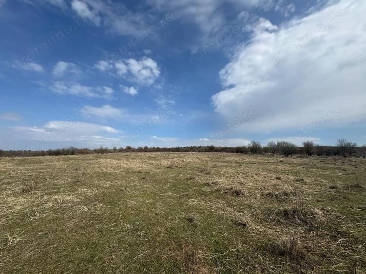 Teren 10233 mp extravilan Episcopia Oradea - 3