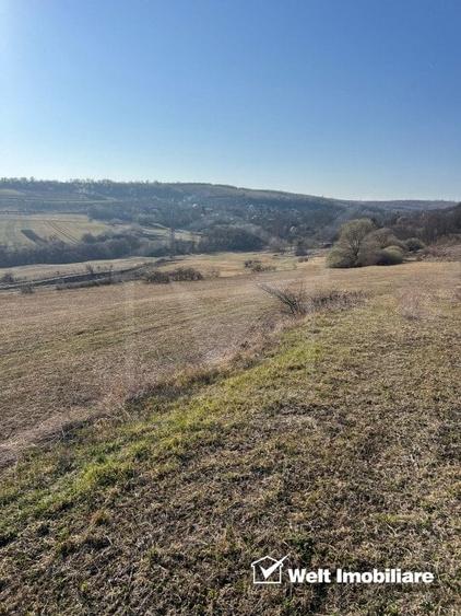 Teren extravilan in Saliste - 2