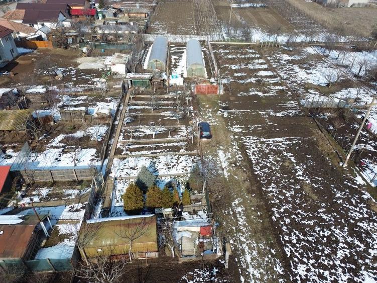 Teren Intravillan Caracal, cartier Bold - 2