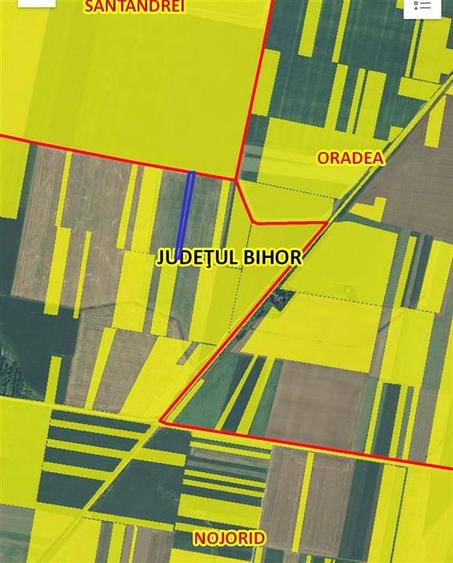 RECO Teren extravilan 5800 mp Livada de Bihor - 10