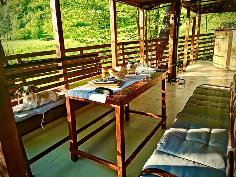 Pensiune 7 camere, Lepsa - 20