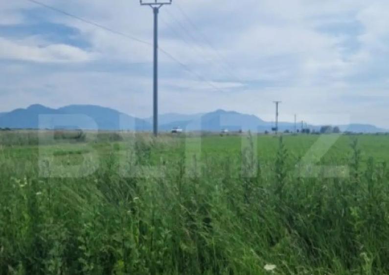 Teren extravilan, 1203 mp pretabil pentru investitie ,casa p - 6