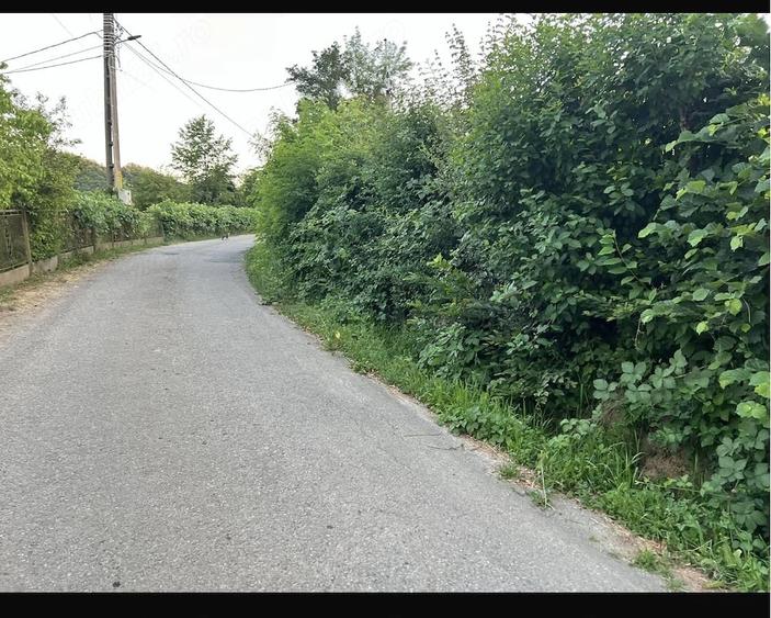 Teren de 5724 mp, în Hărțăgani