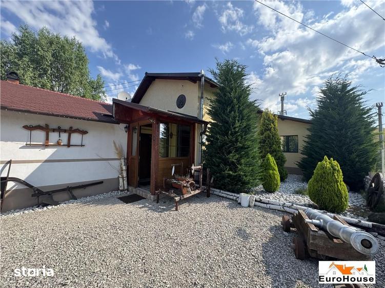 Casă cu 5 camere cu Teren 7140 Mp în Est