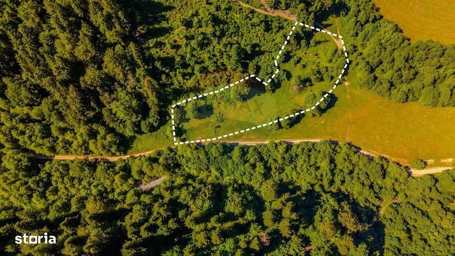 Teren 6000mp Sacele -zona Bradet/ Intravilan/ COMISION 0% - 2