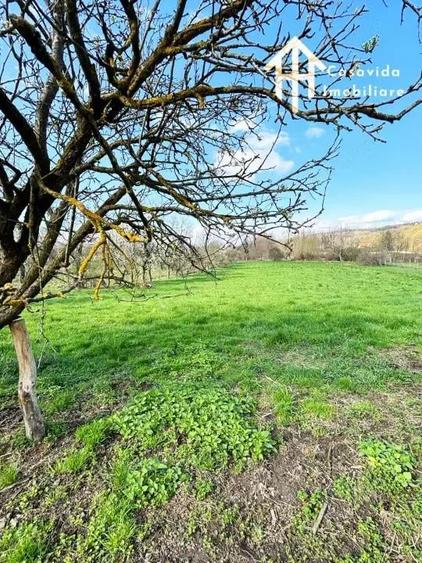 Casa de vanzare in comuna Fardea, jude?ul Timi? - 7