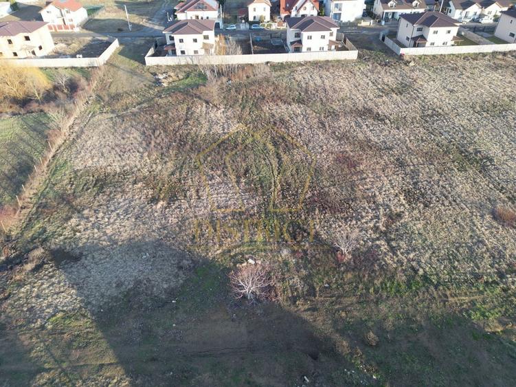 Parcela de teren intravilan cu destinatie SAD | Mosnita Noua | Valery - 5