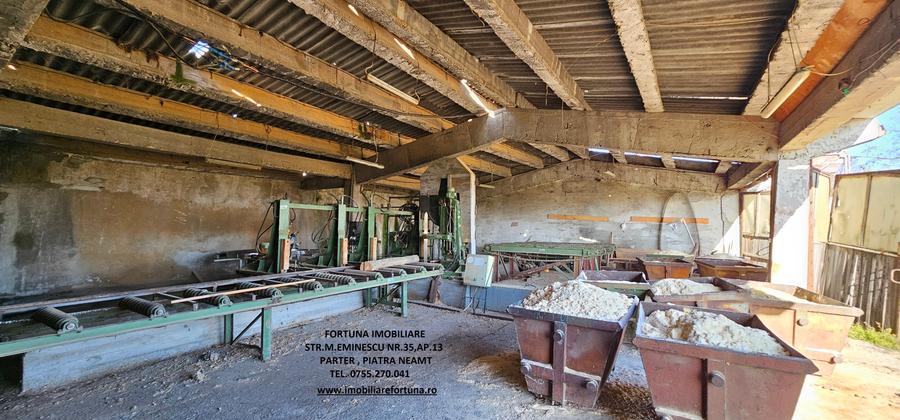 Complex imobiliar format din cladiri si constructii industriale+teren intravilan - 10