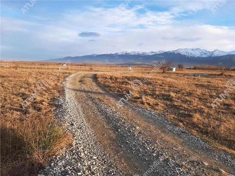 Teren extravilan 8400 mp de vanzare pe Valea Avrigului - 4