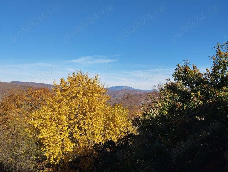 Casa si livada, de vanzare in localitatea Pausesti-Maglasi, sat Coasta. - 3