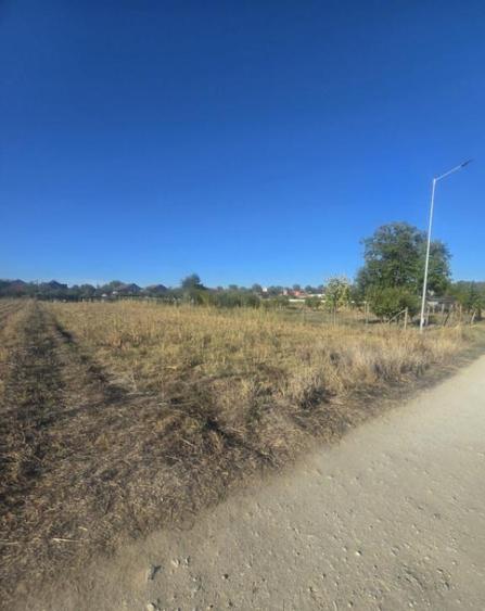 Teren 1000mp ,la intrarea in Filiasi - 1