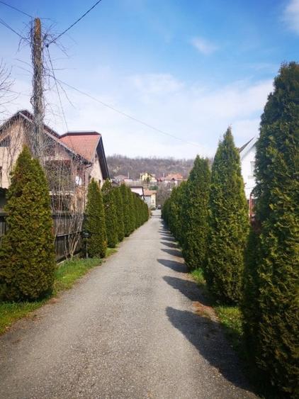 Casa D+P+E, Stefanesti -Coasta Campului, teren 1570 mp, mobilata - 28