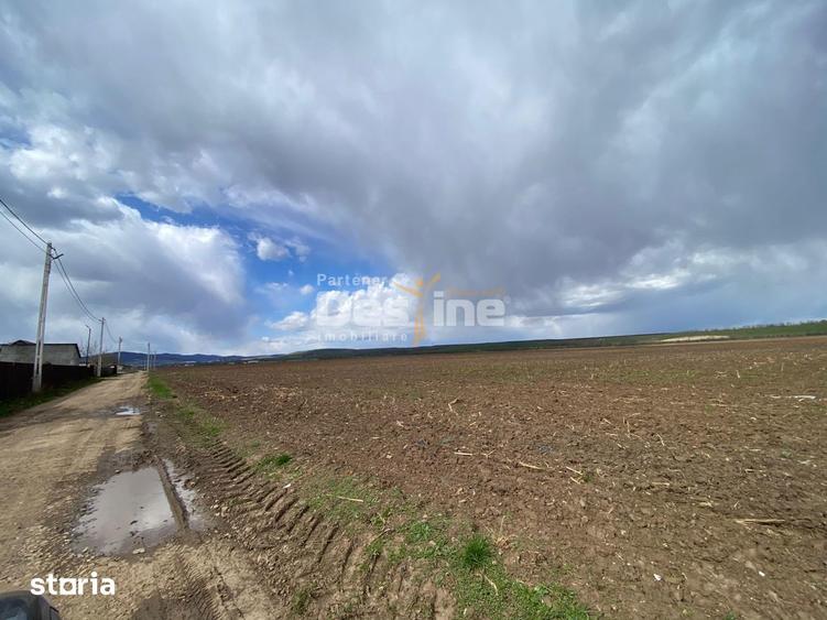 Teren de vanzare Dumbrava Rosie 20.000 Euro 900mp - 12