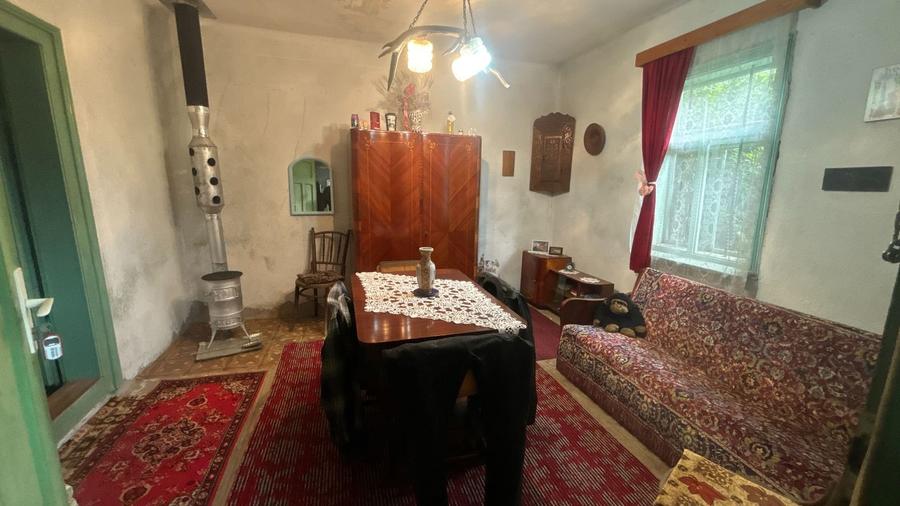 Casă 3 camere 100 M² cu 2360 M² teren - 7