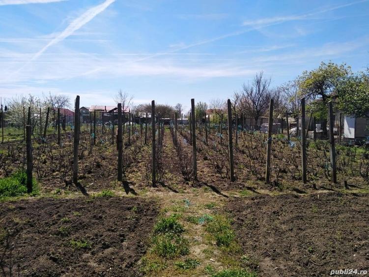Casă cu 3 camere în Giurgița