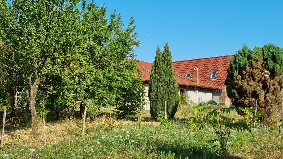 Casa Pensiune in Viile Satu Mare teren 1,63 ha, 11 camere, 10 bai - 2