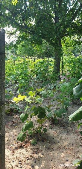 Casa de vanzare in mun. Dragasani - 6