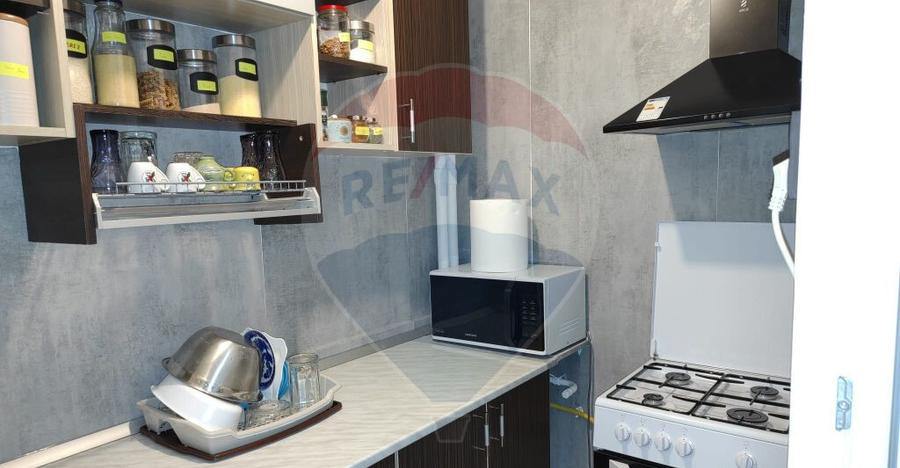 Apartament cu 1 camere de inchiriat in zona Brazda lui ... - 6
