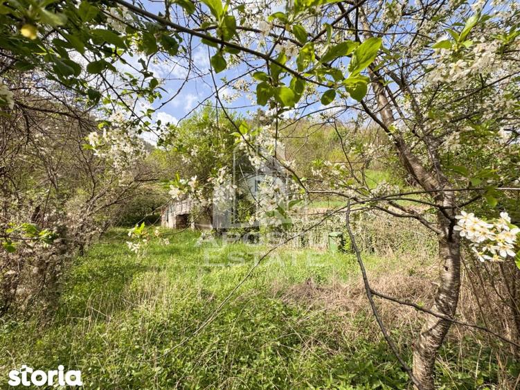 Casa batraneasca cu 2 camere, vedere panoramica, in Toplita, Hunedoara - 6