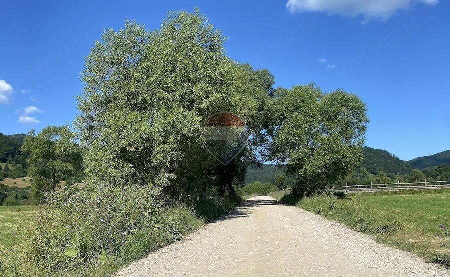 Teren de 4306 mp, în Vama Buzăului