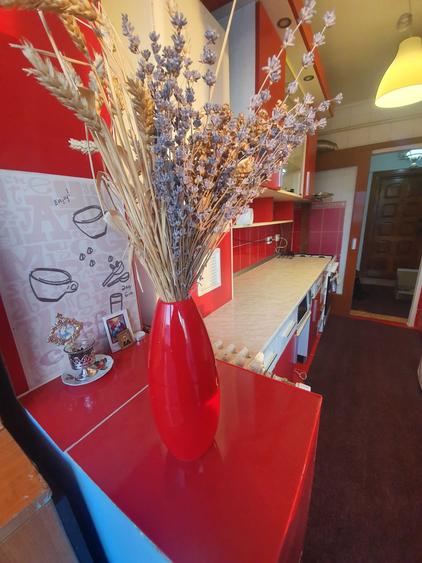 PF - Apartament 2C Podu Ros(spate PNL) - investitie/afacere la cheie - 5