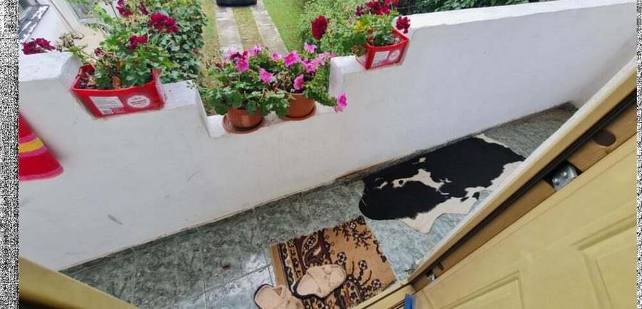 Vila Prundu, zona blocuri - 11