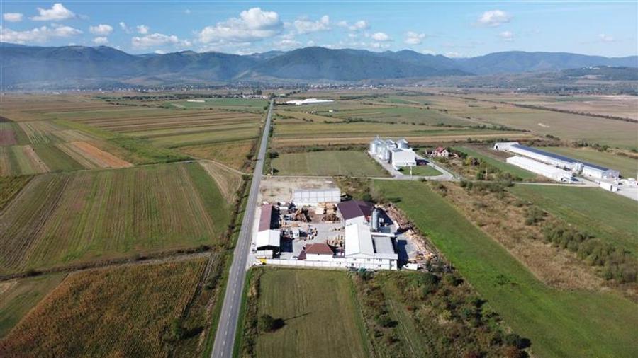 Oportunitate investiție prelucrare lemn, Cristian,jud.Sibiu - 3