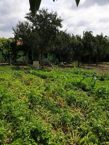 Proprietar unic vând direct, casă/gospodărie completă în comuna Adâncata, IL - 14