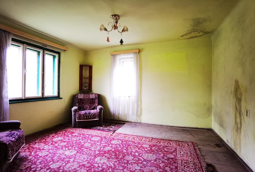 Casă cu demisol și parter, teren 395 mp, Sat Bradu – Avrig - 8