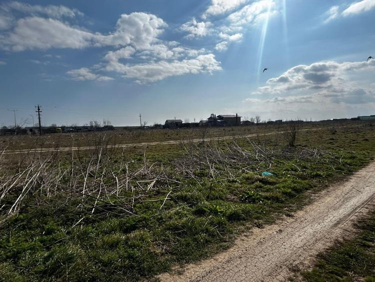 vânzare doua loturi Teren intravilan  – Techirghiol - 5