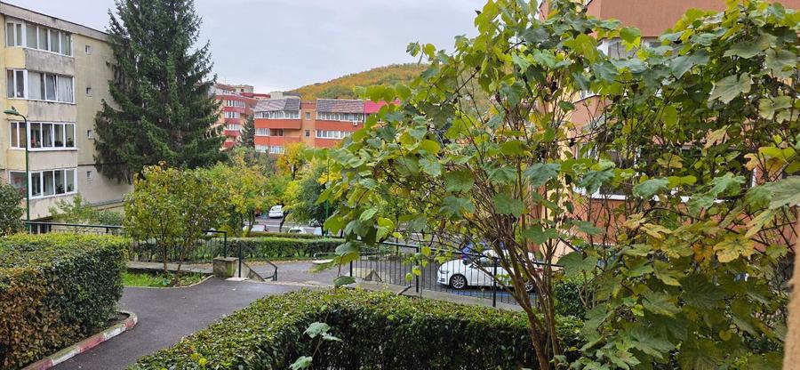 Apartament 2 camere in Racadau - 3