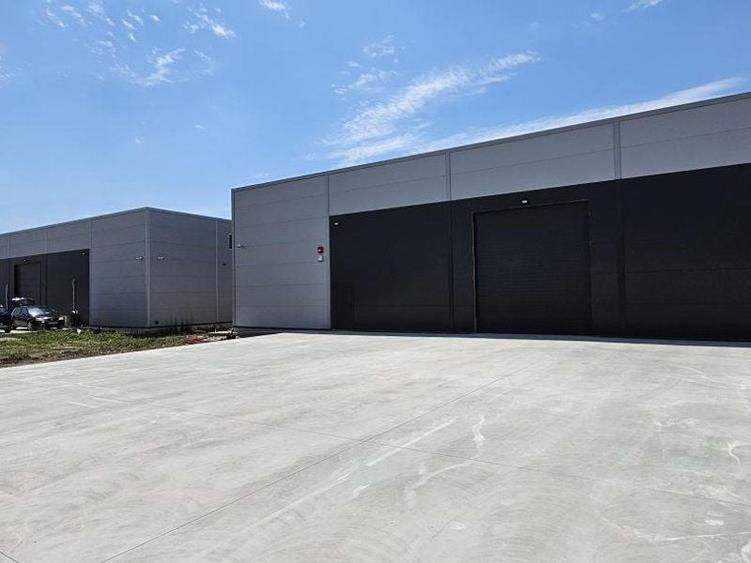 Pantelimon DN3 hala 600 mp - 3