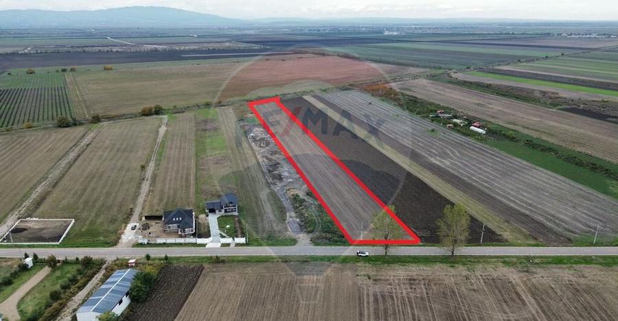 Teren intravilan 10869mp Mircestii Vechi / DJ 204E - 3