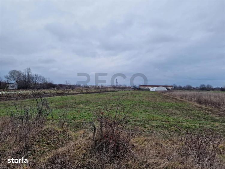 Teren intravilan in Bors cu front mare - 6