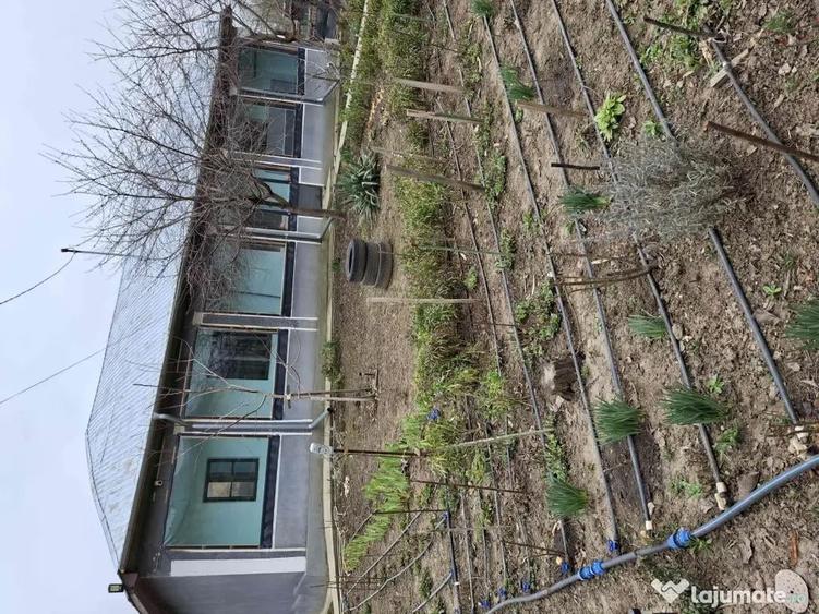 De vanzare casa in Traian ,Teleorman - 1