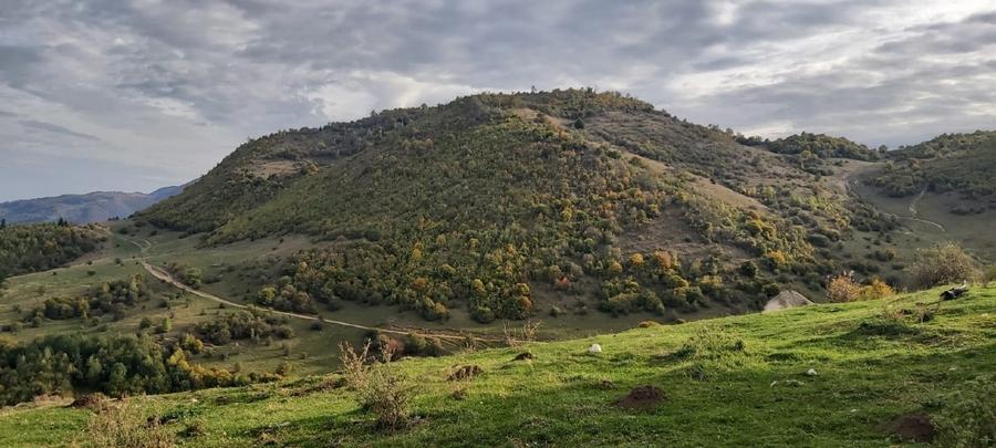 VÂND TEREN EXTRAVILAN 10.000 MP – ZONĂ MONTANĂ ARGEȘ - 1