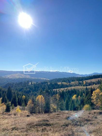 Oportunitate.Teren de vanzare la munte-BELIS - 2