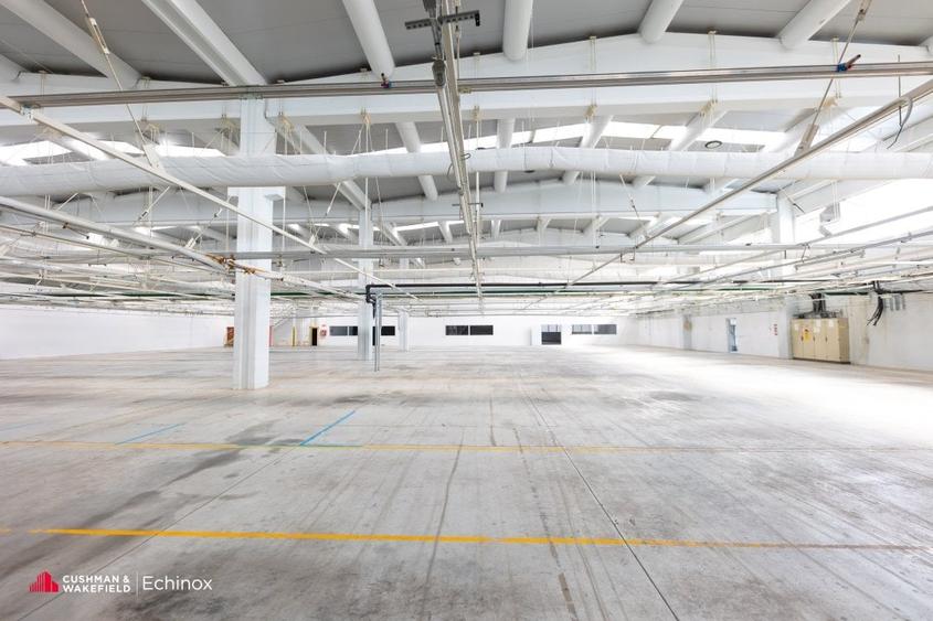 Timișoara - Depozit și birouri de vânzare - 2