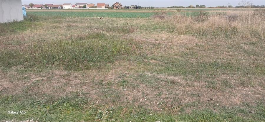 RECO Teren intravilan in Tarian - 3